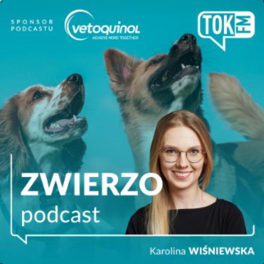 Ostrożnie z piłeczką i telefonem! Jak powinien wyglądać dobry spacer z psem? [LOKOWANIE MARKI]