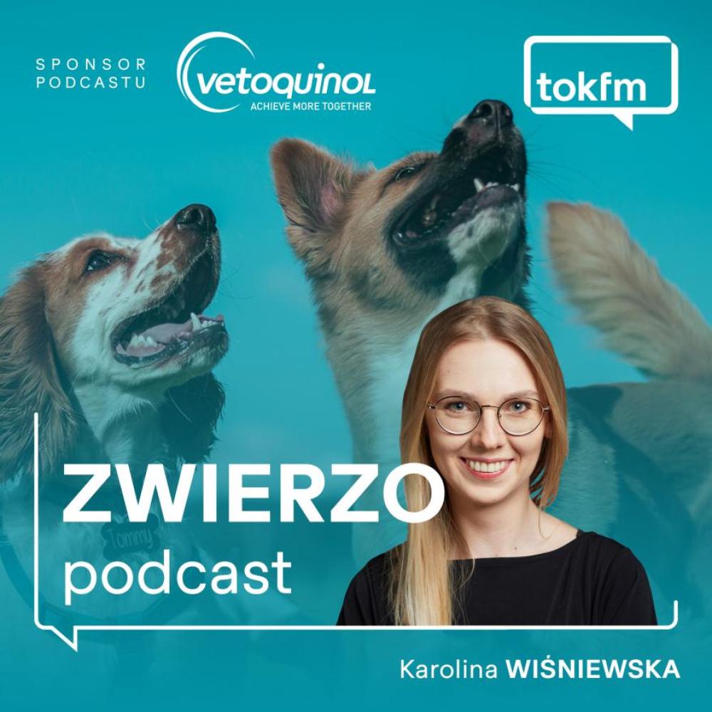 Dogoterapia - pomoc pacjentom i wspaniała przygoda dla psa [lokowanie marki]